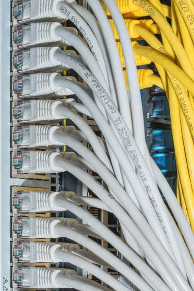 Kapcsolóhoz csatlakoztatott hálózati kábelek — Stock Fotó