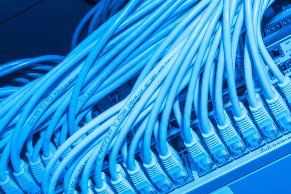 Сетевые кабели подключенные к коммутатору — стоковое фото