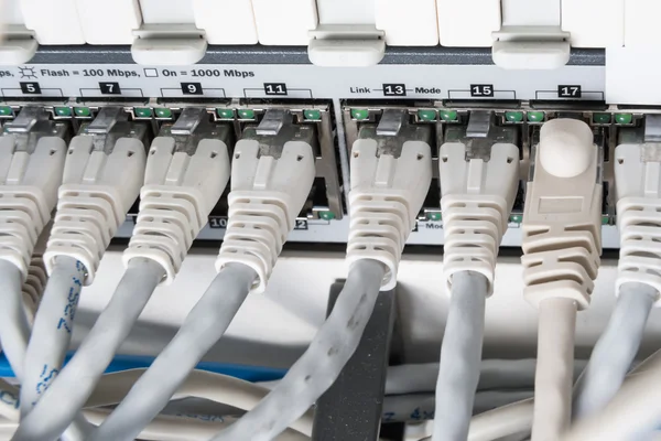 网络集线器和修补程序电缆 — 图库照片