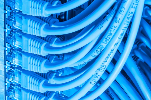 Network cables connected to switch — Stock Photo, Image