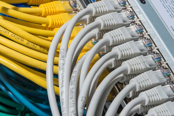 Cables de red conectados al conmutador —  Fotos de Stock