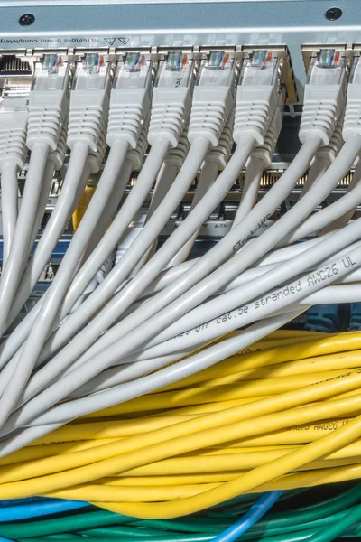 Network cables connected to switch — Stock Photo, Image