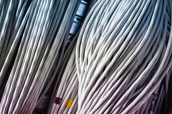 Detail Large Number Ethernet Cables Tied Together Connecting Racks Server — Stock Photo, Image