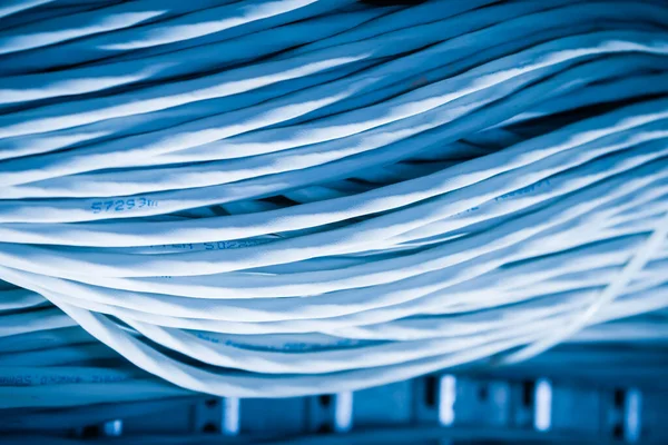 Detail Large Number Ethernet Cables Tied Together Connecting Racks Server — Stock Photo, Image