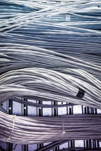 Detalle Gran Número Cables Ethernet Atados Entre Conectando Bastidores Dentro — Foto de Stock