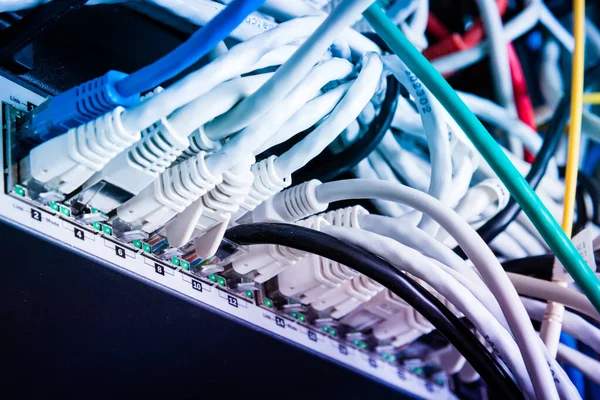 Różne Kable Ethernetowe Podłączone Przełącznika Sieciowego — Zdjęcie stockowe