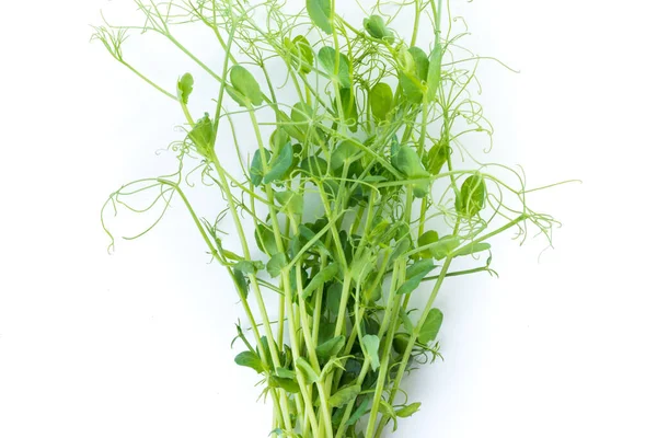 Brotes Guisante Con Zarcillos Acostados Planos Aislados Sobre Blanco —  Fotos de Stock