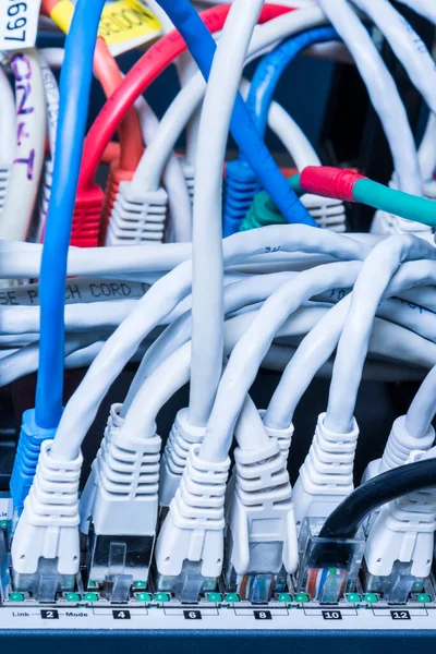 Verschiedene Ethernet Kabel Netzwerk Switch Eingesteckt — Stockfoto