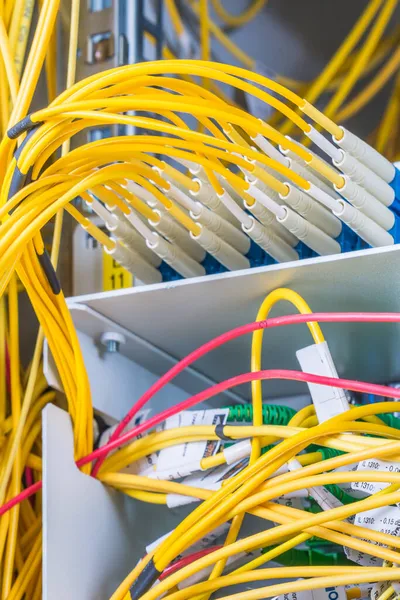 Veri Merkezindeki Anahtar Paneline Takılı Fiber Optik Kablolar — Stok fotoğraf