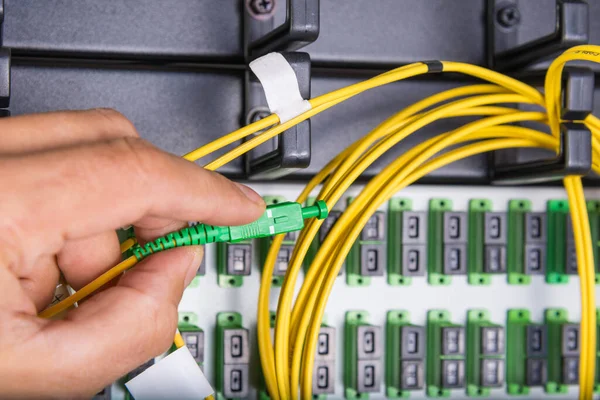 Primer Plano Mano Del Administrador Que Conecta Cable Red Interruptor — Foto de Stock