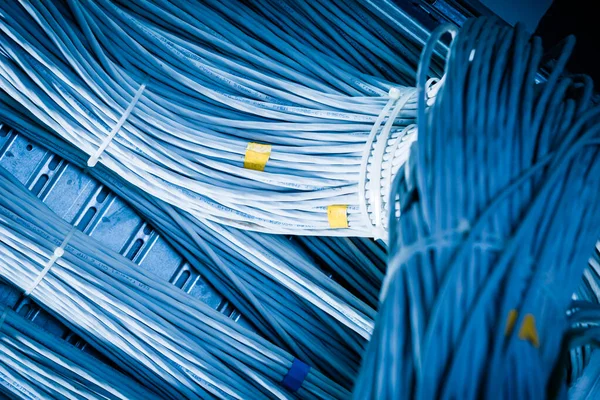 Detalle Gran Número Cables Ethernet Atados Entre Conectando Bastidores Dentro — Foto de Stock