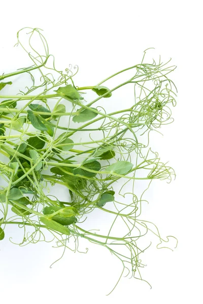 Brotes Guisante Con Zarcillos Acostados Planos Aislados Sobre Blanco —  Fotos de Stock