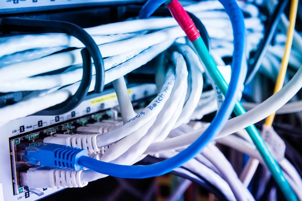 Különböző Ethernet Kábelek Csatlakoztatva Hálózati Kapcsoló — Stock Fotó