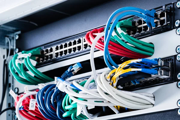 Cavi Patch Colorati Collegati All Interruttore Concetto Internet Alta Velocità — Foto Stock