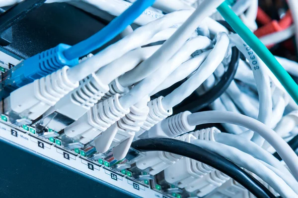 Διάφορα Καλώδια Ethernet Συνδεδεμένα Διακόπτη Δικτύου — Φωτογραφία Αρχείου