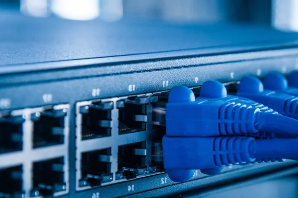 Mavi Yama Kabloları Düğmenin Ethernet Portlarına Bağlandı — Stok fotoğraf