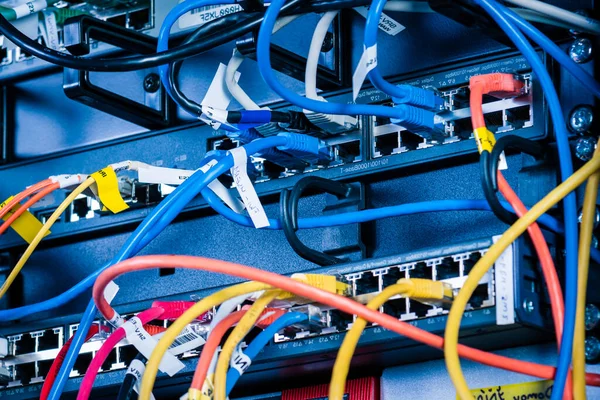 Ethernet Portlarına Yama Kablosu Takılı Sunucunun Ayrıntıları — Stok fotoğraf