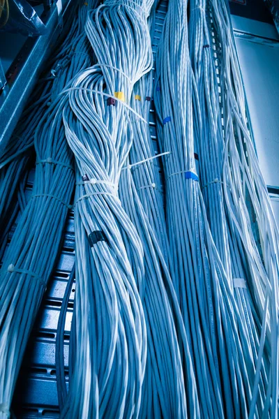 Detalle Gran Número Cables Ethernet Atados Entre Conectando Bastidores Dentro — Foto de Stock