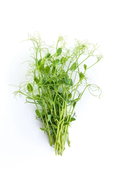 Pea Shoots Tendrils Lying Flat Isolated White — Stock Photo, Image