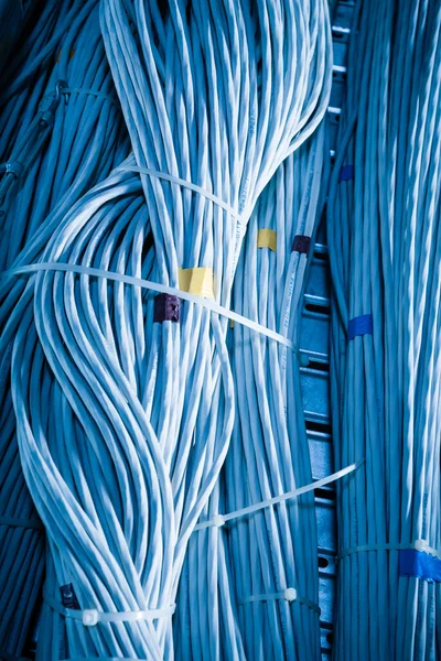 Detalle Gran Número Cables Ethernet Atados Entre Conectando Bastidores Dentro —  Fotos de Stock