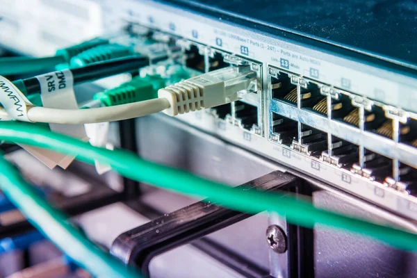 Detail Serveru Záplatovými Kabely Zapojenými Ethernetových Portů — Stock fotografie
