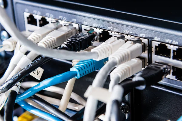 Cabos Patch Coloridos Conectados Switch Conceito Internet Alta Velocidade — Fotografia de Stock