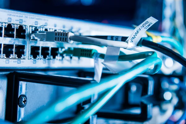 Ethernet Portlarına Yama Kablosu Takılı Sunucunun Ayrıntıları — Stok fotoğraf