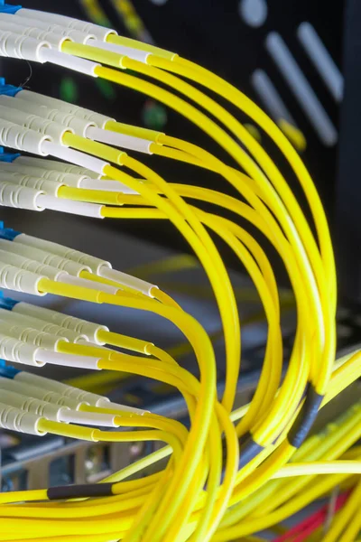 Cables Fibra Óptica Enchufados Panel Del Interruptor Red Dentro Del —  Fotos de Stock