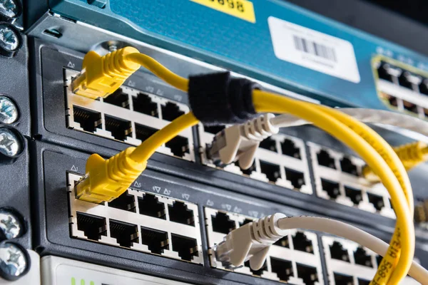 Kabel Patch Berwarna Warni Yang Terhubung Switch Konsep Internet Kecepatan — Stok Foto