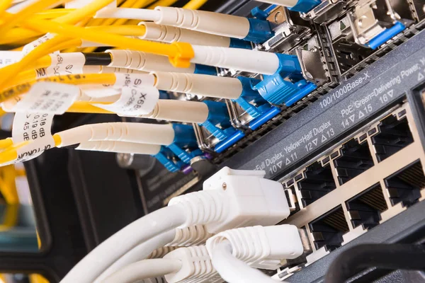 Szerver Részletezése Ethernet Portokban Csatlakoztatott Patch Kábelekkel — Stock Fotó