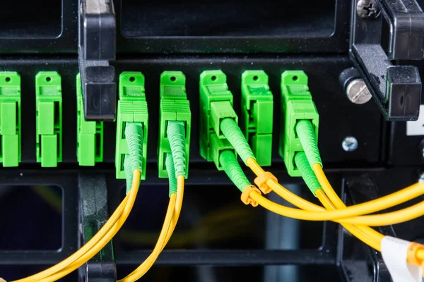 Fiber Optic Cables Connected Optic Ports Data Switch Internet Data — Stock Photo, Image