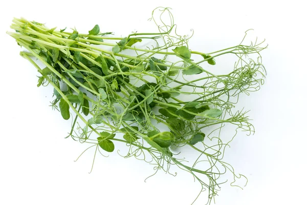 Pea Shoots Tendrils Lying Flat Isolated White — Stock Photo, Image