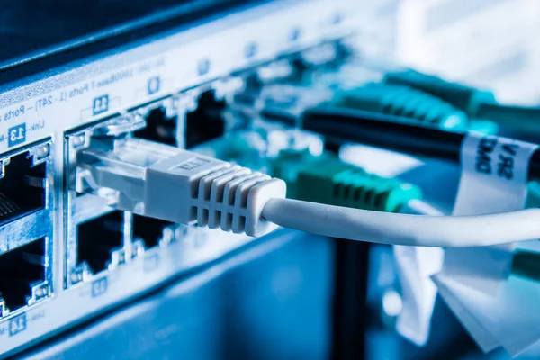 Деталь Сервера Підключеними Патч Кабелями Портах Ethernet — стокове фото