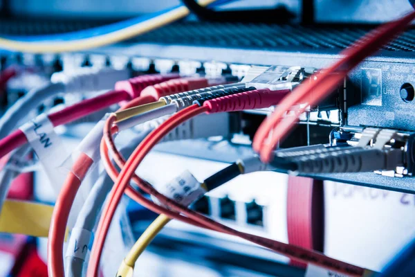 Detail of server with patch cables plugged in ethernet ports