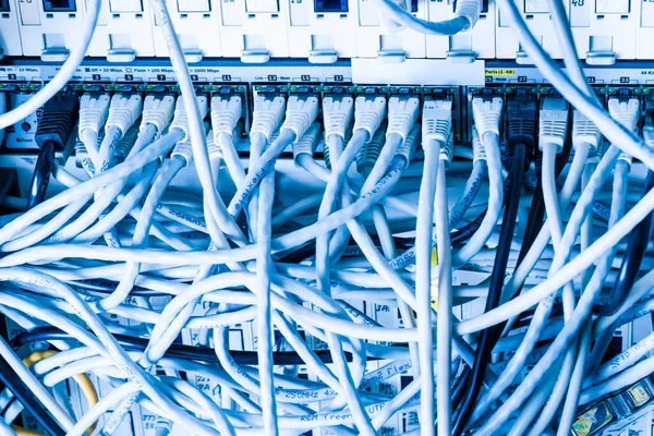 Cables Conexión Blancos Conectados Interruptor Datos — Foto de Stock