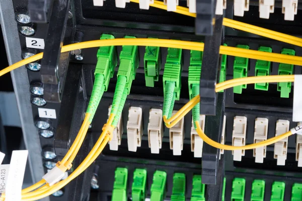 Fiber Optiska Kablar Anslutna Till Optisk Portar Data Switch Internet — Stockfoto