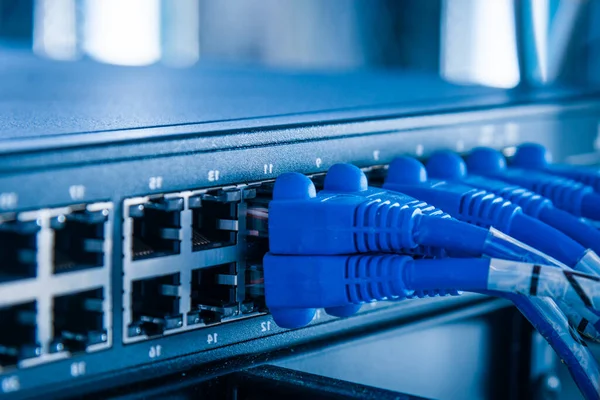 Câbles Raccordement Bleus Connectés Aux Ports Ethernet Commutateur — Photo