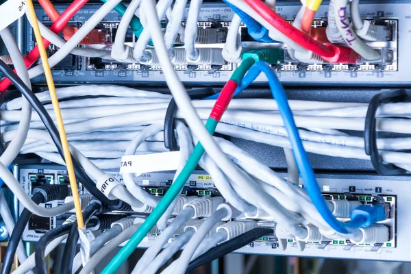 Verschiedene Ethernet Kabel Netzwerk Switch Eingesteckt — Stockfoto