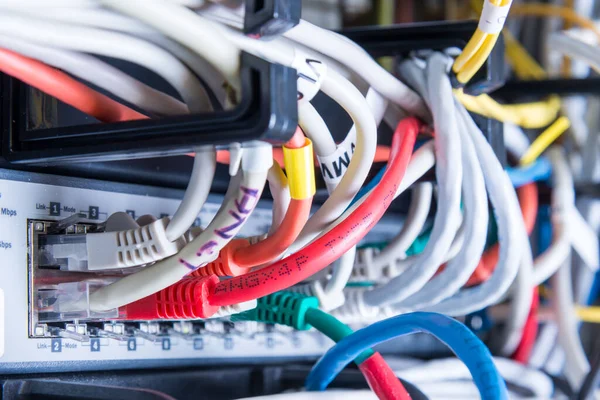 Různé Ethernetové Kabely Zapojené Síťového Spínače — Stock fotografie