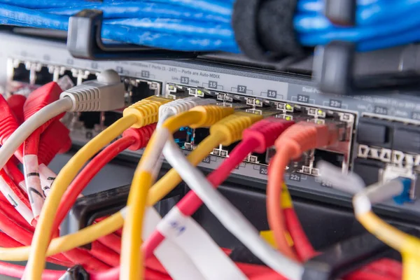 Röda Patchkablar Anslutna Till Strömställarens Ethernet Portar — Stockfoto