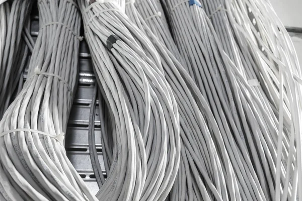 Подробности Большого Количества Кабелей Ethernet Связанных Между Собой Соединительными Стойками — стоковое фото