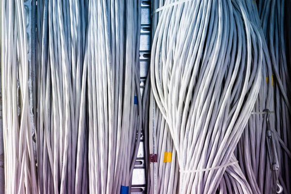 Detail Van Een Groot Aantal Ethernetkabels Die Serverruimte Met Elkaar — Stockfoto