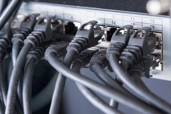 Schwarze Patchkabel Die Mit Den Ethernet Ports Des Switchs Verbunden — Stockfoto