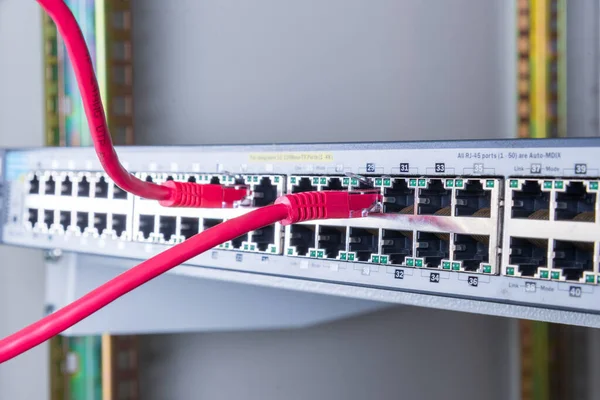 Červený Ethernetový Kabel Zapojený Internetového Spínače — Stock fotografie