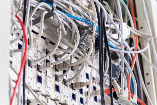 Patch Cables Connected Switch Server Room — Stock Photo, Image