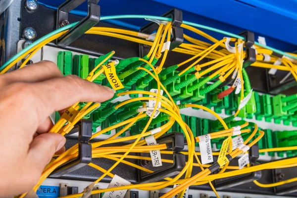 closeup of hand of administrator connecting network cable into switch