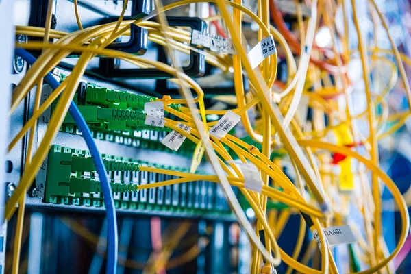 Panel Anahtar Portlarına Fiber Optik Kablolar Eklenmiş Sunucu Rafının Ayrıntıları — Stok fotoğraf