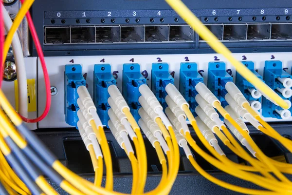 データセンター内のネットワークスイッチパネルに接続された光ファイバーケーブル — ストック写真
