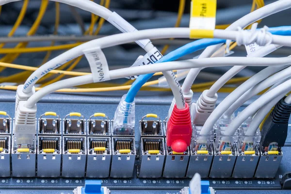 Uppgifter Ethernet Kablar Anslutna Till Kopplingsportar — Stockfoto