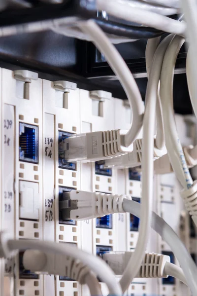 Detalle Sala Servidores Con Cables Conexión —  Fotos de Stock
